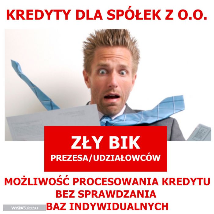 Spółka z o. o. - Kredyt - Zły BIK prezesa/udziałowca